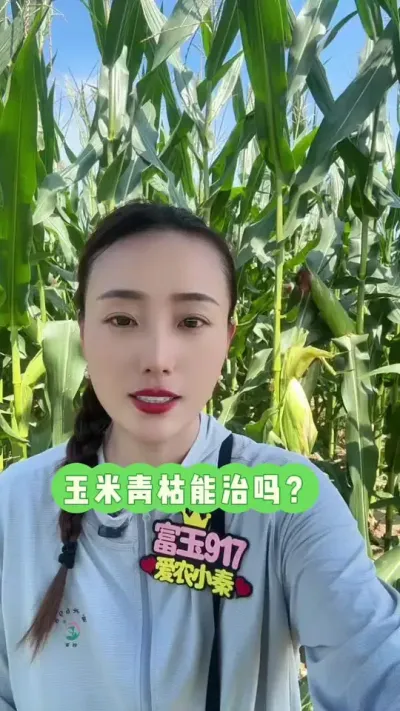 ������������� ̫��͵����#��ũ #������ũ #���� #������ݲ� #����917