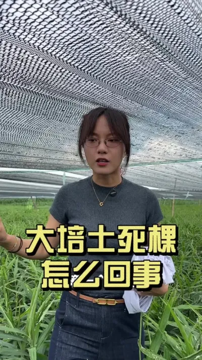 ��æ��������ͷ������øɼ���ô����#��ũ������2025 #������ѧũ�� #�����ػ��� #��ݪֲ #����