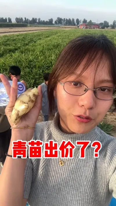 �������ཪũ��٭���������������������ʱ�߿��꿴��������֪���Լ�������׬������#����ݪֲ  �������������˶��ǲ����õ�����Ӧ�����潪��������������һЩ���������⵽300Ԫ���������Ҫ�����������ȥ���