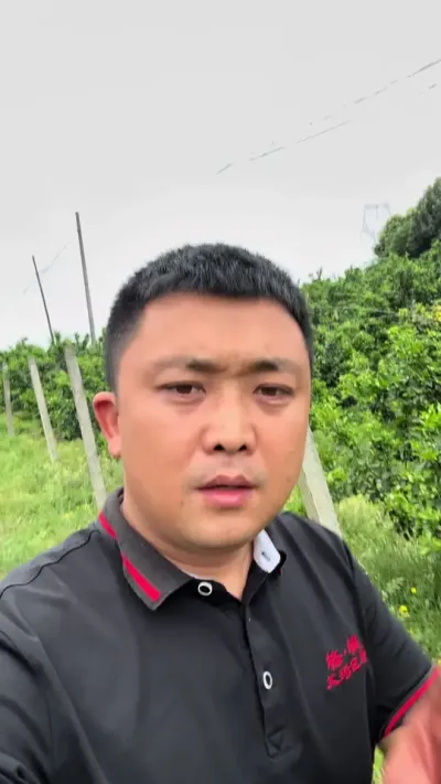 保果一定是解决梢果的营养竞争#柑橘种植 #关注我每天为你分享更多农业知识 #三农 #果树管理