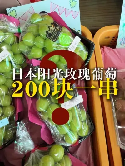 �ձ�����õ������200��һ������������õ��10��һ���������� #����õ������ #�ձ�ũҵݪֲ #ũҵ #ũҵݪֲ #���ű�