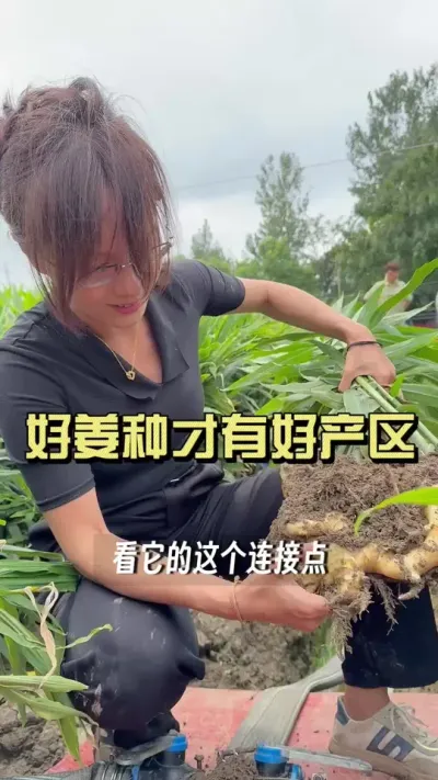 һ���ý������������ܴ���һ���ò����������˿�����ݽ���զ����#��ũ������2025 #��ݪֲ #�����ػ��� #������ѧũ��