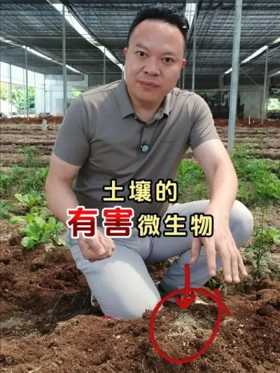 ��������ݡ�������������ԭ����ʲô����ô����� #������ #�ز� #���� #���溦���� #����΢�������