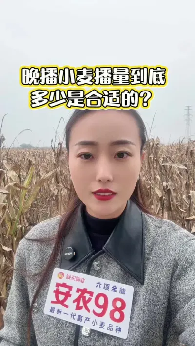 ����С���������Ǻ��ʵ� �������������������������ԥ�������հ��ն����ʲ�����������������#ũҵݪֲ #��ũ #��ũ98 #С������ #ũҵ����