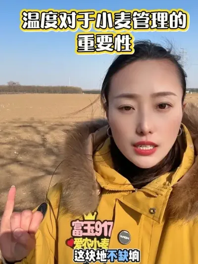 �¶ȹ���С���Ӱ�� Ϲ��Ǯ�Ŀ�����#��ũ #��ũ������ #����917 #������ũ��ũ #������ũ��