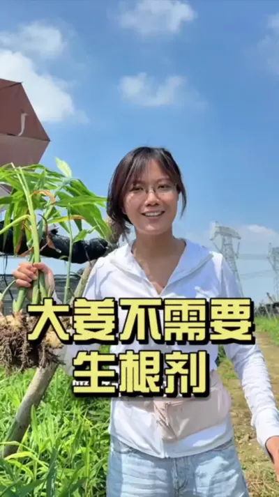 ���ٳ������������󽪲���Ҫ��#��ũ������2025 #������ѧũ�� #�����ػ��� #��ݪֲ #������