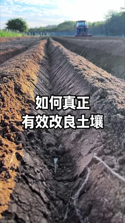 ����������4���취�ͱ�׼ #�������� #��̬ũҵ #������ũ֧����ũ #ũҵ֪ʶ #ũҵݪֲ