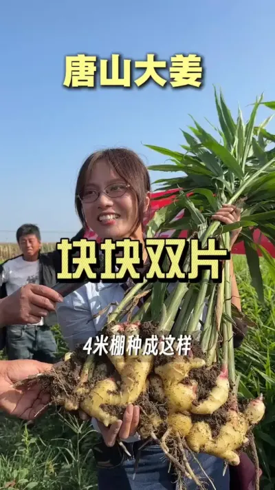 4����Ľ��ֳ�������˭��ȥ��8������#��ũ������2025 #������ѧũ�� #�����ػ��� #��ݪֲ