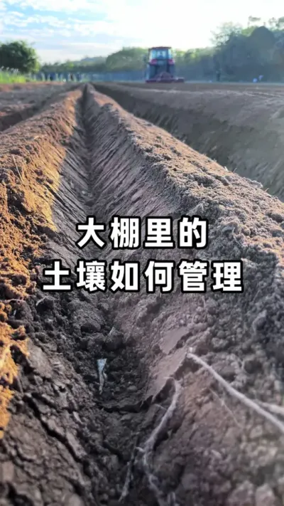 ����ݪֲ��Ϊʲô�ָ������꣬��������������ȫ���� #����ݪֲ #�������� #�������ջ� #ũҵݪֲ #��ũ