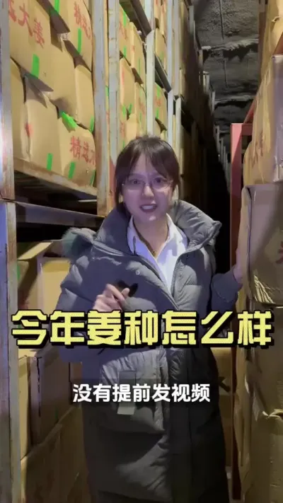 姜种视频藏到现在才敢发视频，因为担心姜种收获时间、保存上出问题。当时选这份姜种的时候，就看好后期行情，想着地温低库温高，如果存的不好，提前冒芽子了，就当三两大风干洗了卖。所以说当时我选姜种的质量、还有