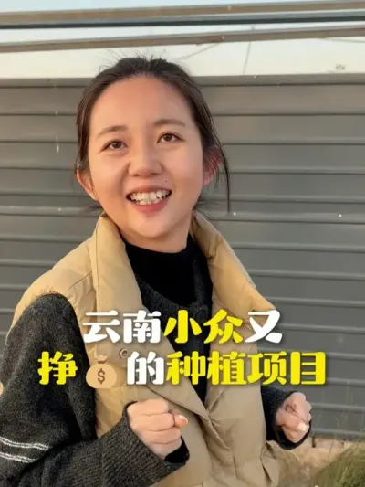 �̻�����С������Ǯ��ݪֲ��Ŀ������ȪԴ�����������������ָ�� #ݪֲ��Ŀ #ũ�ʻ��� #��ũ #�������� #�����ʽ�¶ũҵ