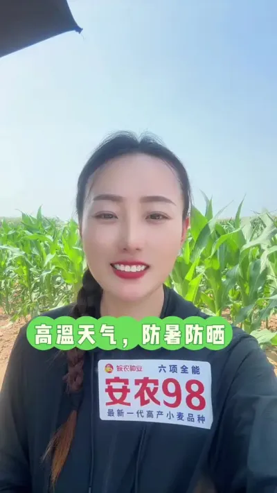 ���������������ɹ ���������Խ��ע��Ͷ���������������#�����µ��Ͷ��� #��ũ #������ũ�� #ũҵݪֲ #��ũ98