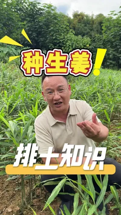 ݪֲ��������С֪ʶ������֪������#����#����#ũҵ�����ƹ�#ݪֲС����