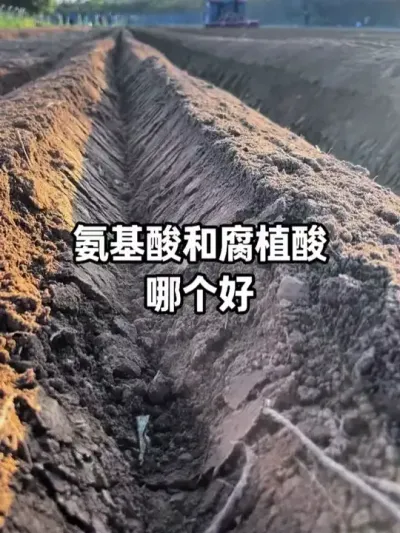 ������͸�ֳ������� #��ֳ�� #������ #�������� #ũҵݪֲ #ݪֲ��