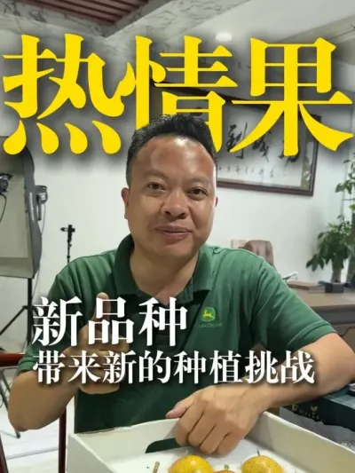 ������������µ�ݪֲ��ս�� #ˮ�� #ũ��Ʒ #������ũ��ũ #��ɫ��̬ũҵ #ũҵ