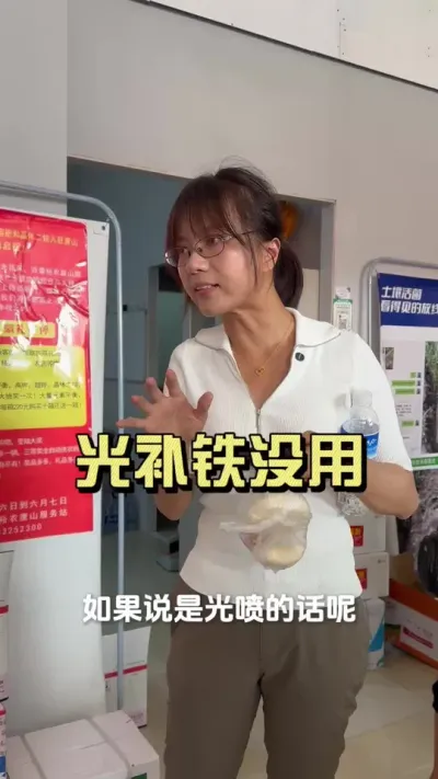 ��ҶƬ��������һ��һ���ֻ������û�õģ�#��ũ������2025 #������ѧũ�� #�����ػ��� #��ݪֲ #�ƻ�