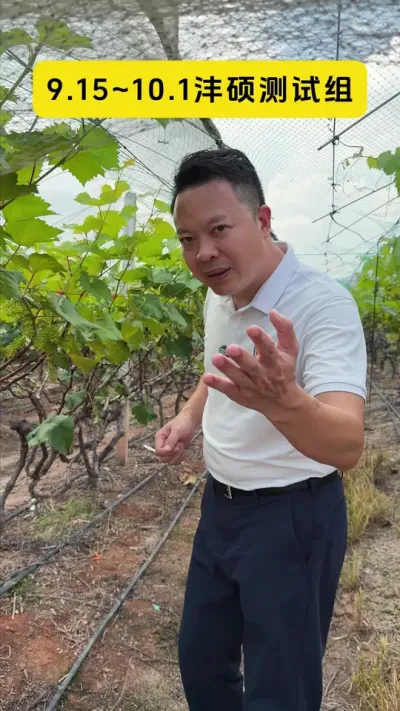 ����2����˶��ʵս�������ٻ������Ľ��㾿����ʲô�� #�ٻ����� #��˶40 #������� #��ѿ�ֽ� #ȱ��