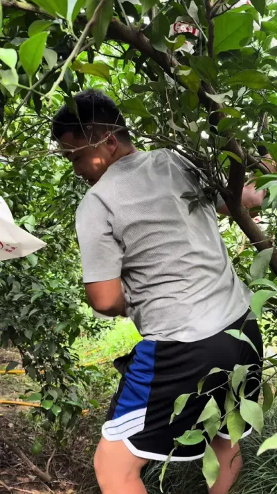 ���ٽ�ǳ�#��ũ #����ݪֲ #��ũݪֲ