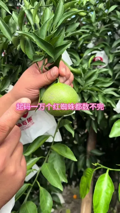 �������ǻ�Ҫ���״���#��ũ #��԰���� #����ݪֲ #����