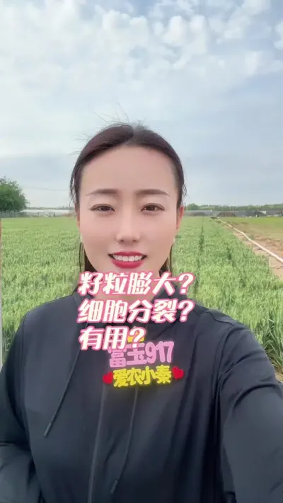 籽粒膨大？细胞拉长？能增产？ 做好基础管理才是高产的关键！#三农 #抖音助农 #抖音助农扶农 #每天分享农业小知识 #富玉917