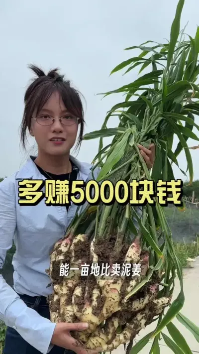 ���ֽ�����ϴ�����������׬5000?����������Ϊ������ɶ������#��ũ������2025 #�����ػ��� #��ݪֲ #������ѧũ��