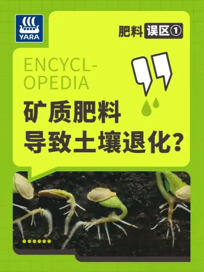 ���������������ʷ��ϵ��������˻��� #���۹��� #ũҵݪֲ #���� #�������� #����