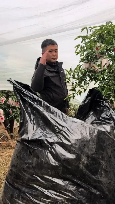 ��Ĥ���ɴ�������#��Ĥ���ɴ� #��ũ #�����Ƽ�?