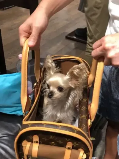 ����ʮһ�����������ݳ�Ʒ��#�ݳ�Ʒ #����� #���ϴ�