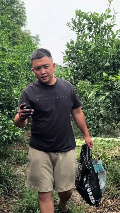 �½���Դ�Ƹ���� 20��һ��100����#Դͷʵ������ #��ũ #��Դ�Ƹ���� #����ݪֲ