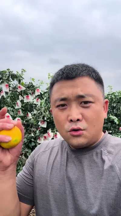 ������Եĵ�çƤ��#��ũ #ũҵݪֲ #����ݪֲ