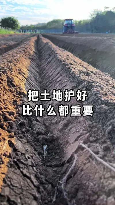 �����ػ�������ʲô����Ҫ #�������� #�������� #������� #ũҵݪֲ #������ũ֧����ũ