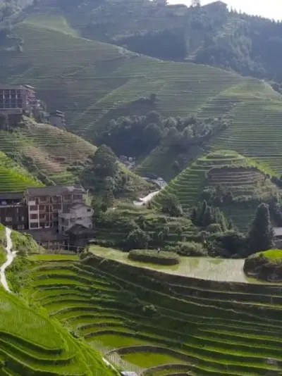 �������ֲ��ط�������������������֣�#������ #������ #�����ľ���