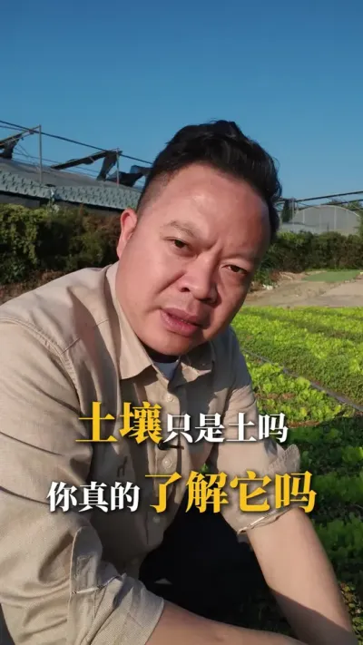 �����������99%����δ��������#����