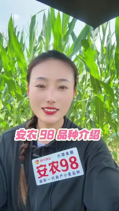 ��ũ 98 Ʒ������ #��ũ #������ũ #��ũ������ #��ũ98 #������ũ֧����ũ