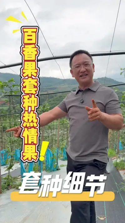 ����������һ������ǻ�����������������Ǻܼ�������Ҫ����ѡ����#�����#�����#����#ũҵ�����ƹ�