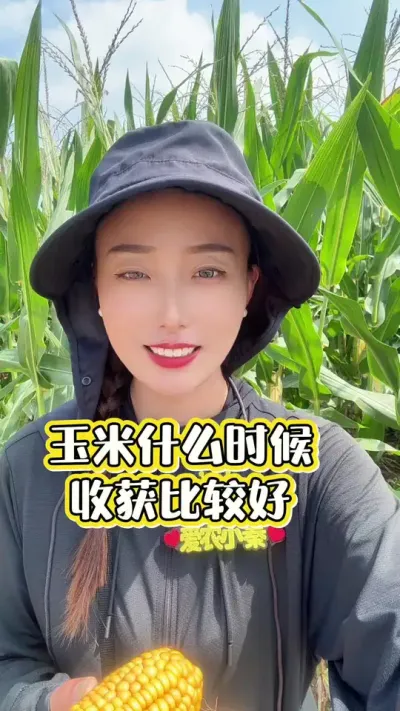 ����ʲôʱ���ջ���������ո�����˶�����#������ũ #��ũ #����698 #�����ջ� #����ݪֲ