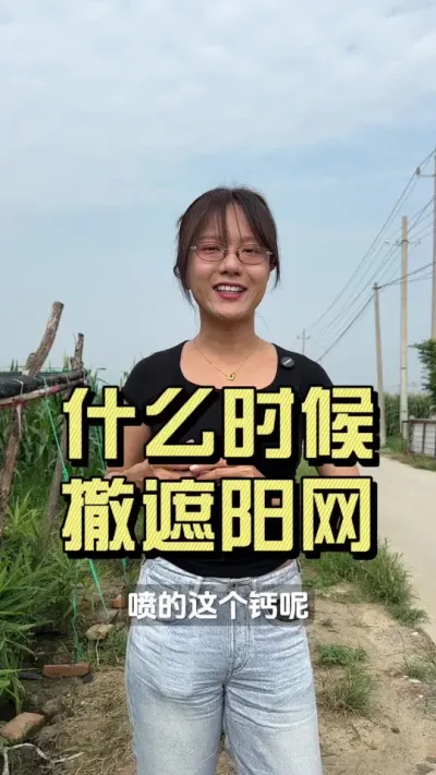 ʲôʱ�䳷��������������#��ũ������2025 #������ѧũ�� #�����ػ��� #��ݪֲ #������