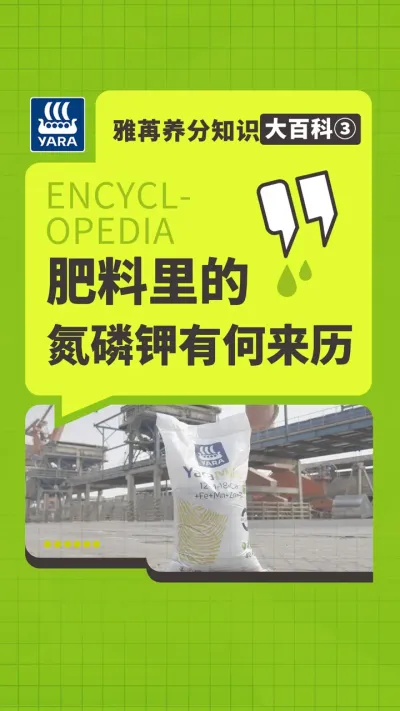 ��������֪ʶ��ٿƢ۷�����ĵ��׼��к�ȪԴ#���۹��� #ũҵݪֲ #���� #ˮ�ܷ� #���Ϸ� 