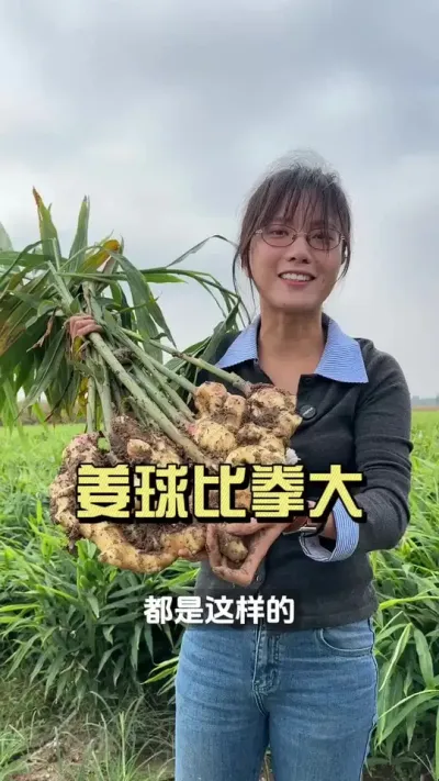 �����ȭ����;���Ķ�˵�ã�#��ũ������2025 #�����ػ��� #��ݪֲ #������ѧũ��