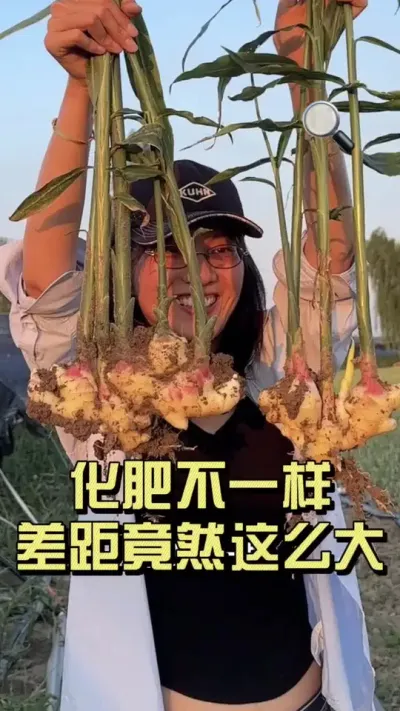 һ��������÷ʼƻ������Ȼ��ô��#��ũ������2025 #������ѧũ�� #�����ػ��� #��ݪֲ