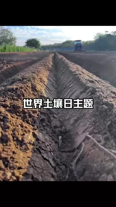 12��5�գ����������գ�������һ���ػ�������Ƭ������ #���������� #�������� #�����޸� #ũҵݪֲ #��������