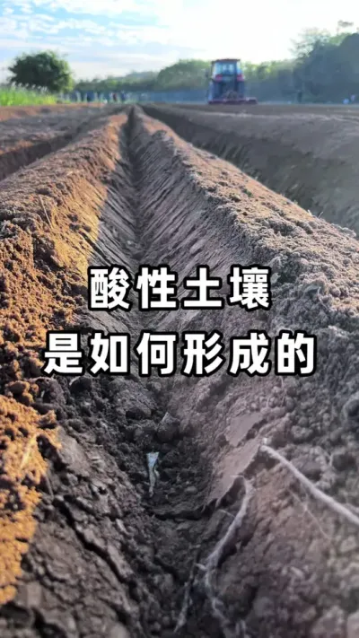 ���������������γɵģ�����ũ��������Щ����Σ���� #�������� #�������ջ� #�������� #�����޸� #ũҵݪֲ