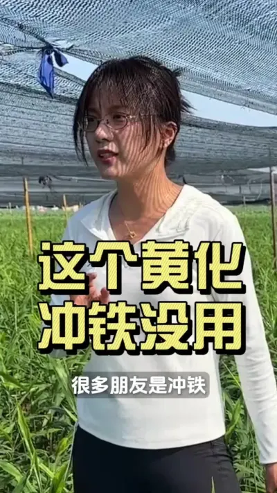 ������ǲ���Ҳ�������Ļ�Ҷ�������ǳ���һ����һ�����û��������������ô���óͷ��ģ�#��ũ������2025 #������ѧũ�� #�����ػ��� #��ݪֲ #�ƻ�