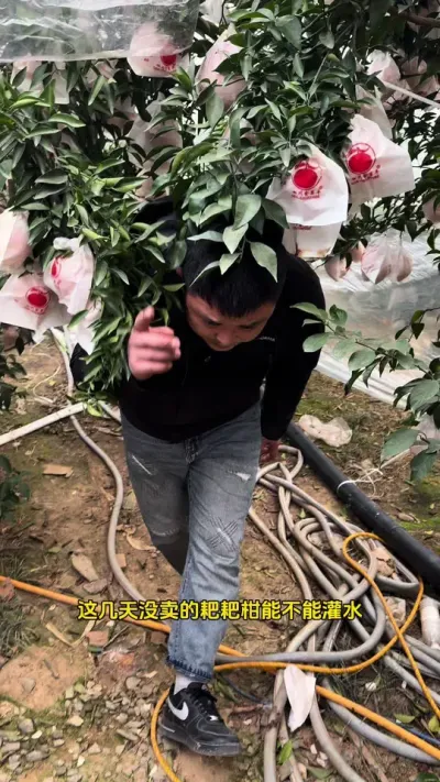 ��Դ�Ƹ���� ��������Ӳ�� ���ʱ�ˮ#��ũ #����ݪֲ #��Դ�Ƹ���� #�����Ƽ�?