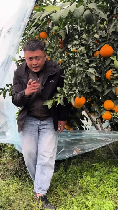 ����û����ʵʱ�ĸ�Ĥ#��ũ #����ݪֲ #���ٹ���