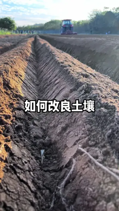 �Ȱ�������������ׯ����Ȼ���úá������ߡ�Ʒ��Ҳ�� #�������� #�������� #ũҵݪֲ #�߲�ݪֲ #������ũ֧����ũ