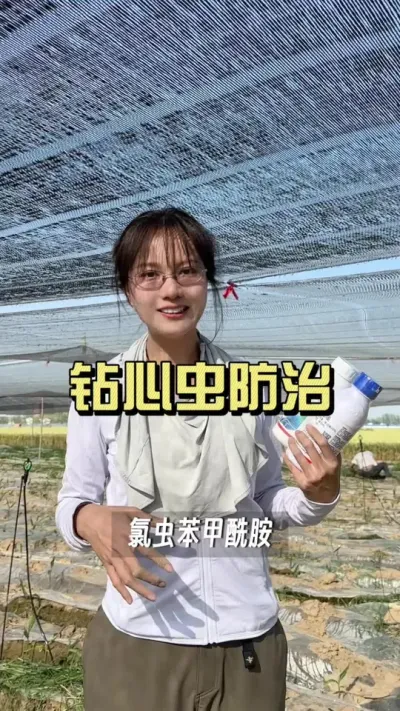 钻心虫如何高效防治？#新农人计划2025 #来抖音学农技 #乡村生活家 #扶农助农