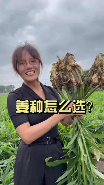 ������ô�����Ϳ������㣡#��ũ������2025 #������ѧũ�� #�����ػ��� #��ݪֲ #����