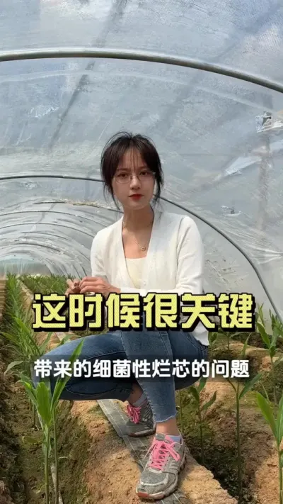 当生姜长到5-6片叶的时候，这个操作很重要&hellip;&hellip;#新农人计划2025 #抖音助农扶农 #大姜种植 #来抖音学农技