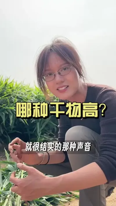 �󽪸���߲���������������������#��ũ������2025 #������ѧũ�� #�����ػ��� #��ݪֲ